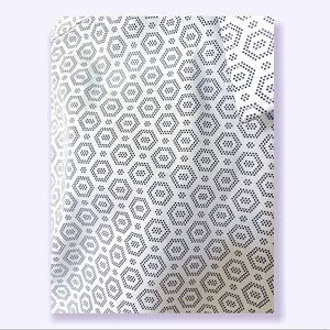 Express Men’s Dress Shirt